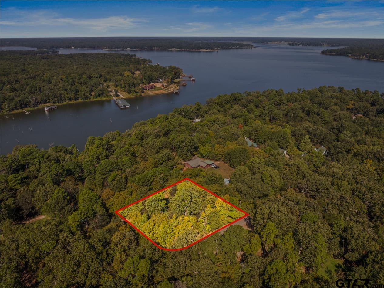 2415 And 2452 Leesburg, TX 75451 - Photo 8 of 13 an aerial view of a houses with ocean view