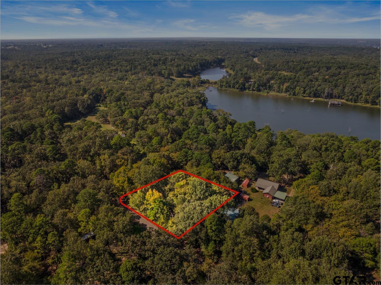 2415 And 2452 Leesburg, TX 75451 - Photo 10 of 13 an aerial view of residential building with outdoor space and lake view