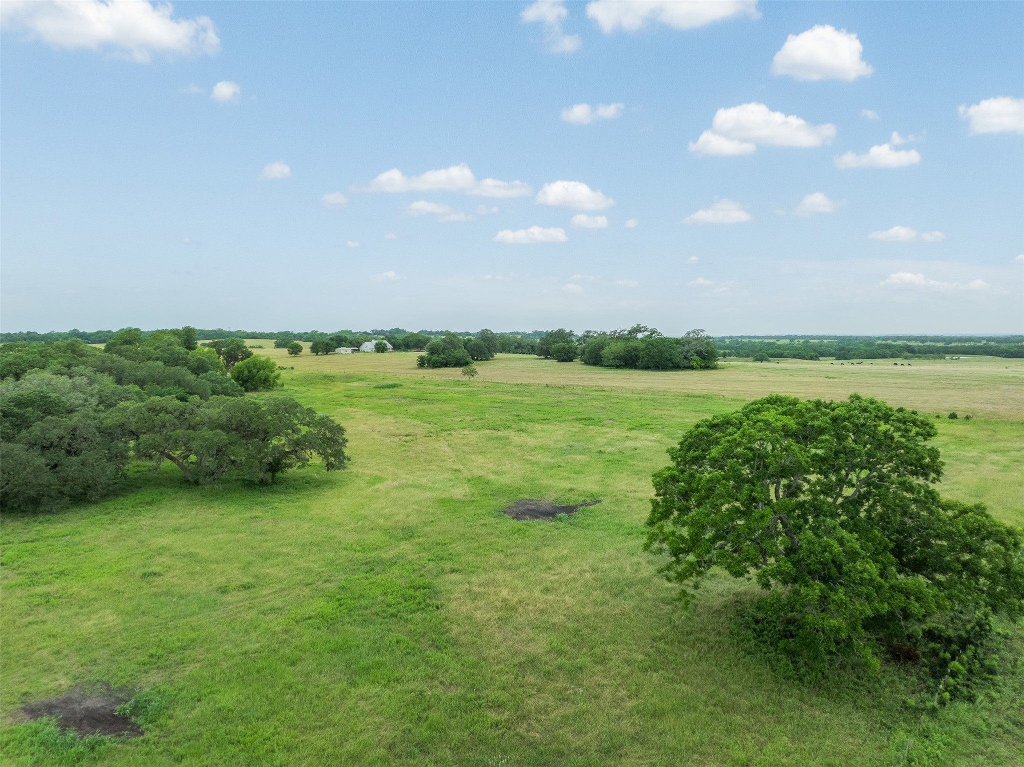 5030 Frenzel Road Round Top, TX 78954 - Photo 44 of 47