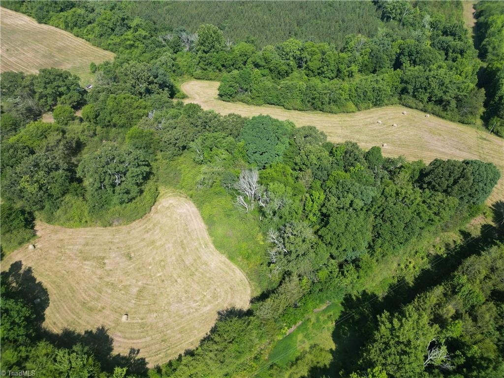7875 Antioch Church Road Seagrove, NC 27341 - Photo 11 of 44