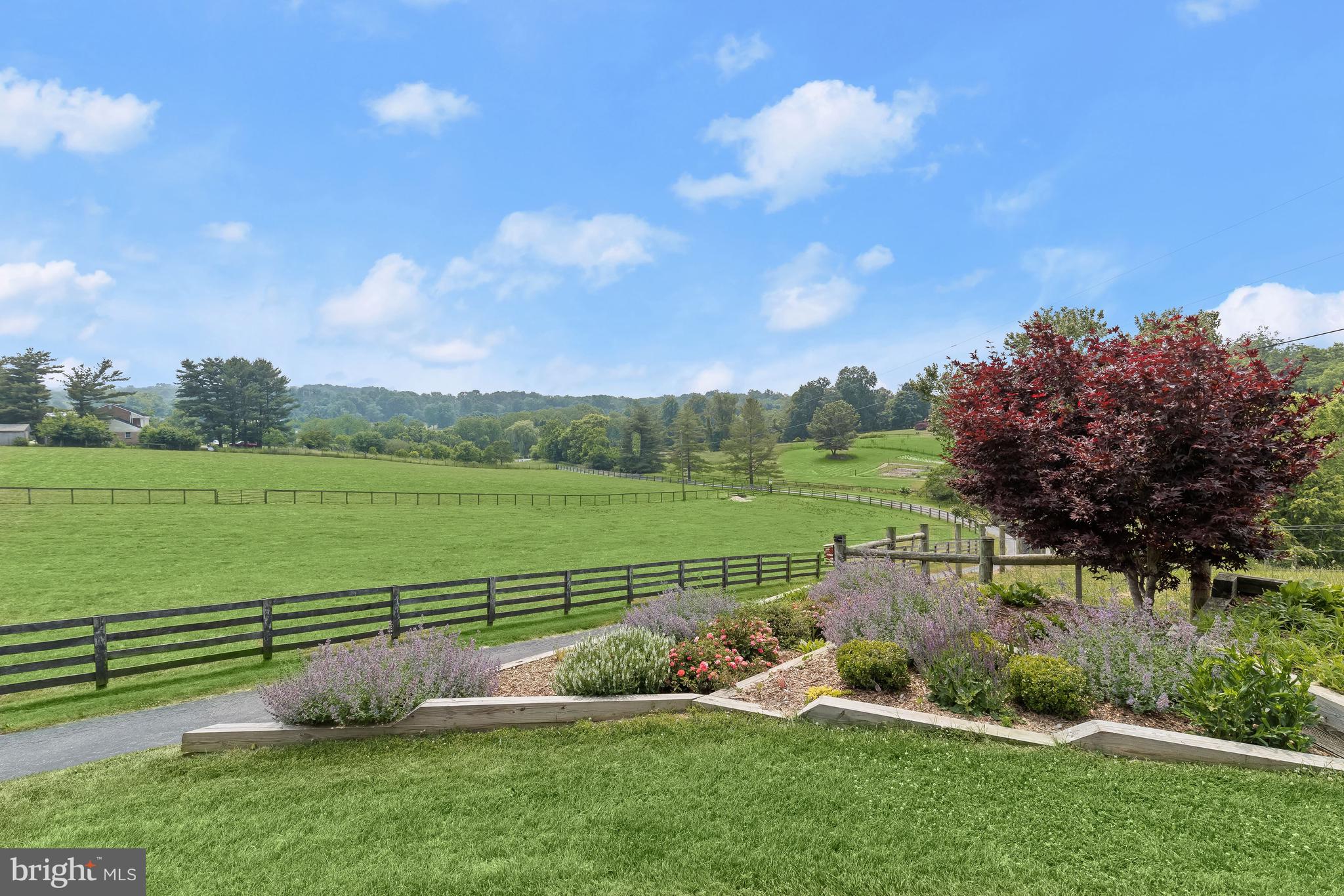 14120 Rover Mill Road West Friendship, MD 21794 - Photo 45 of 76 Front Landscaping