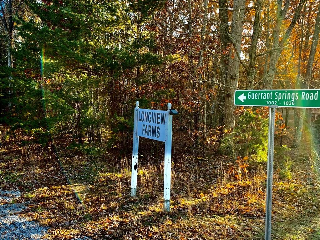 1020 Guerrant Springs Road Ruffin, NC 27326 - Photo 1 of 6