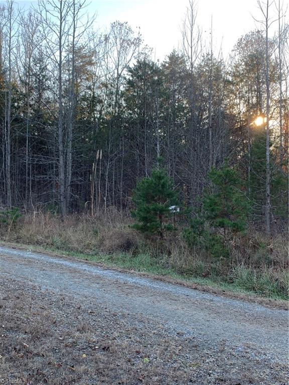 1020 Guerrant Springs Road Ruffin, NC 27326 - Photo 3 of 6