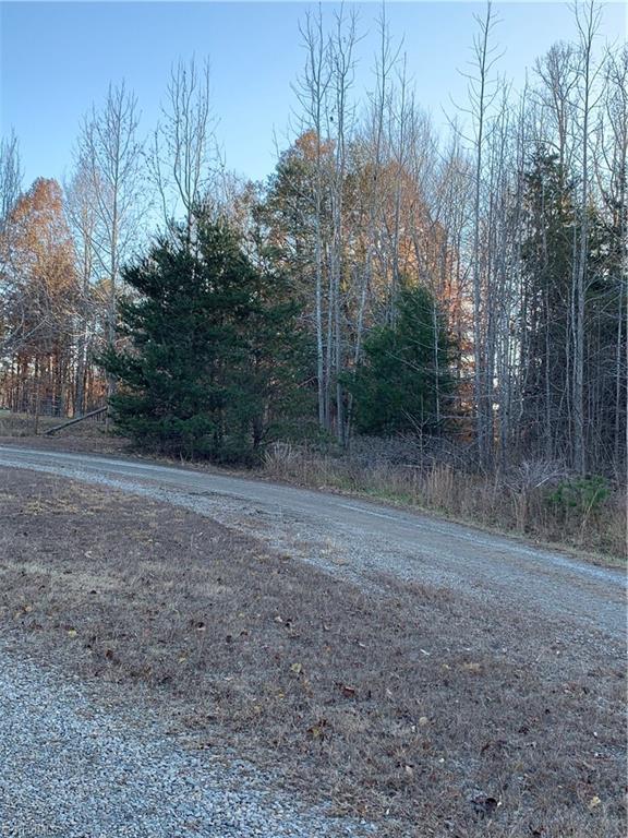 1020 Guerrant Springs Road Ruffin, NC 27326 - Photo 4 of 6