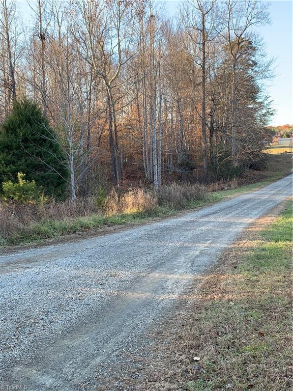 1020 Guerrant Springs Road Ruffin, NC 27326 - Photo 5 of 6