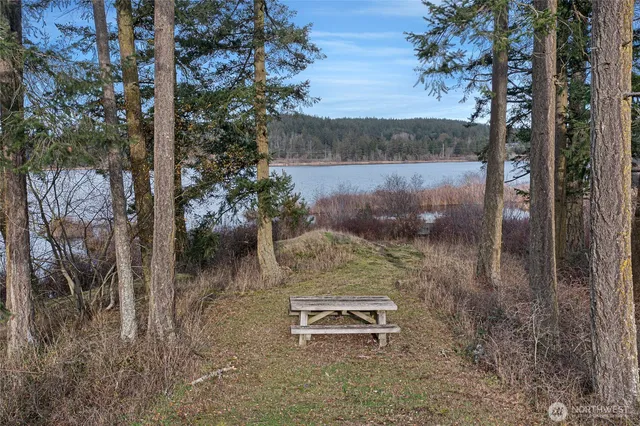 a view of a backyard of a house