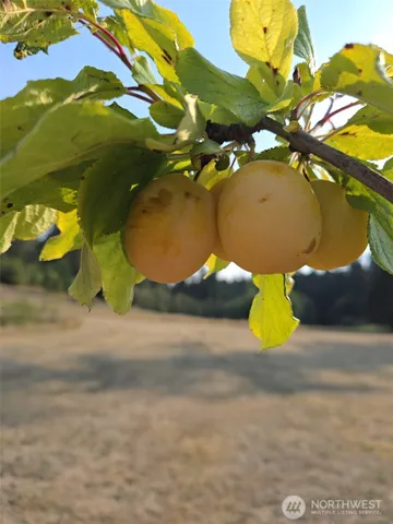 a view of outdoor space