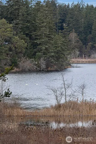 a view of a dry yard with wooden fence