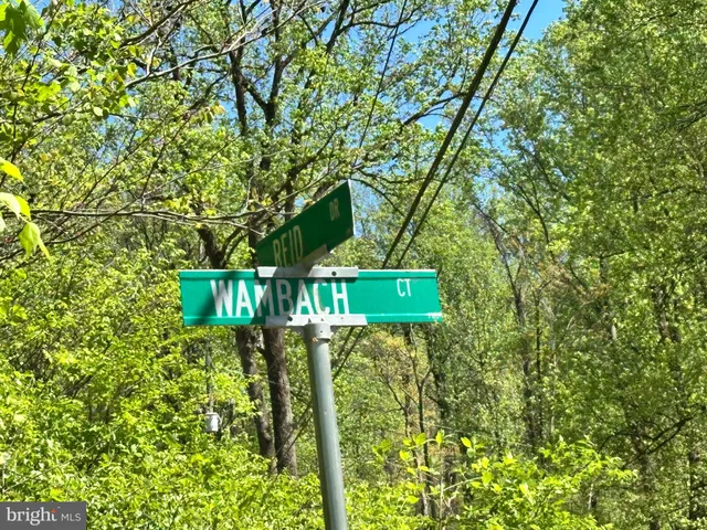 a sign broad in front of a tree