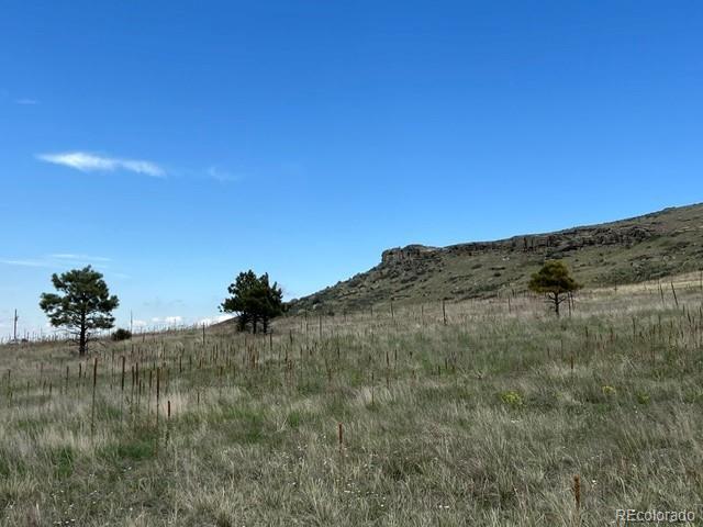 11977 Haskell Creek Road Larkspur, CO 80118 - Photo 20 of 29