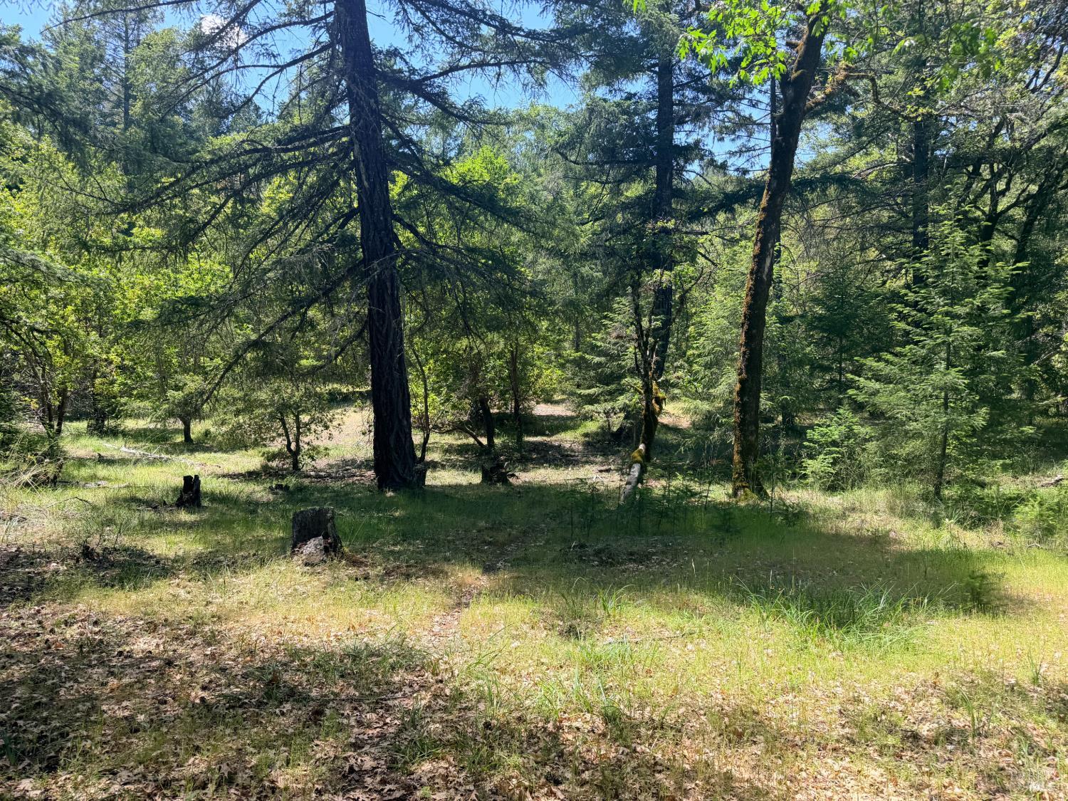 0 Registered Guest Road Laytonville, CA 95454 - Photo 9 of 18