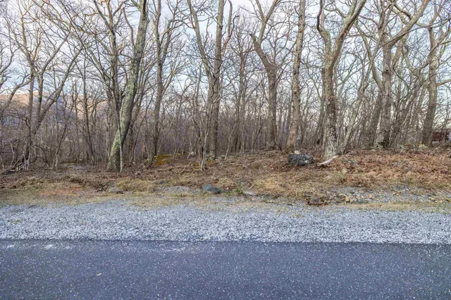 a view of a yard with trees in the background