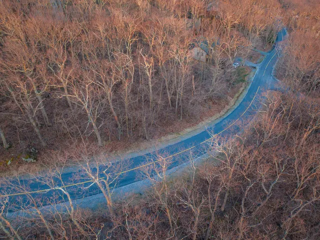 a view of a dry yard