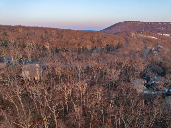 a view of a house with a mountain and a forest