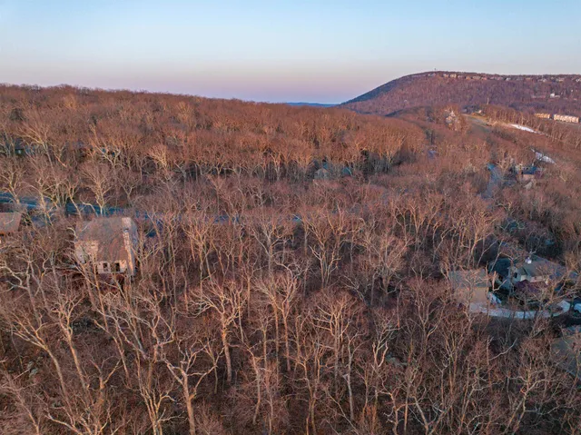 a view of a house with a mountain and a forest