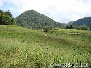 Lot 3 Hunters Trace, Unit 3 Clyde, NC 28721 - Photo 2 of 9 Gallery Image 2