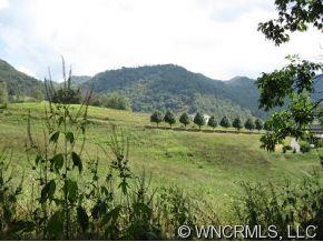 Lot 3 Hunters Trace, Unit 3 Clyde, NC 28721 - Photo 3 of 9 Gallery Image 3