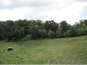 Lot 3 Hunters Trace, Unit 3 Clyde, NC 28721 - Photo 4 of 9 Gallery Image 4