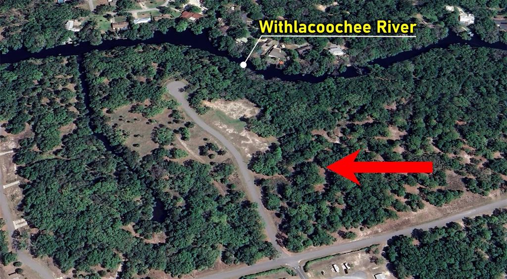 13789 West Foss Grove Path Inglis, FL 34449 - Photo 2 of 8 a sign that is sitting in front of flowers