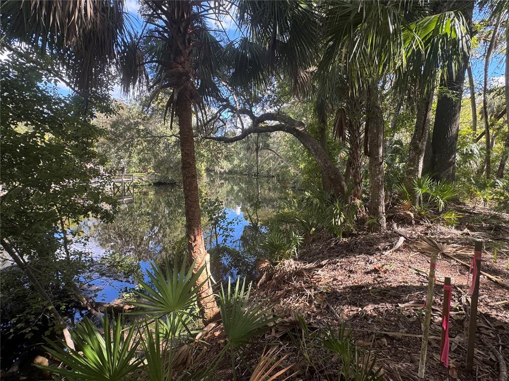 13789 West Foss Grove Path Inglis, FL 34449 - Photo 4 of 8 a backyard of a house with lots of green space