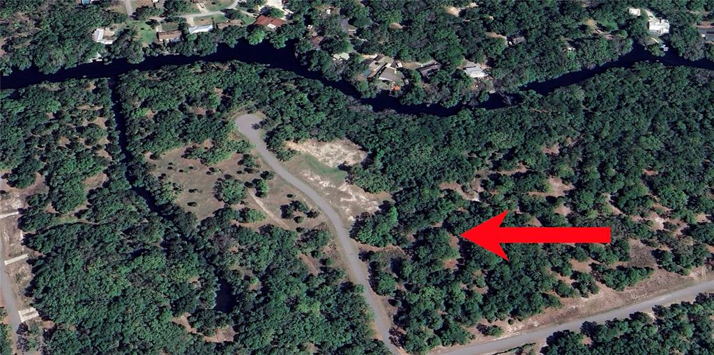 13789 West Foss Grove Path Inglis, FL 34449 - Photo 5 of 8 a view of a flower arrangement in backyard