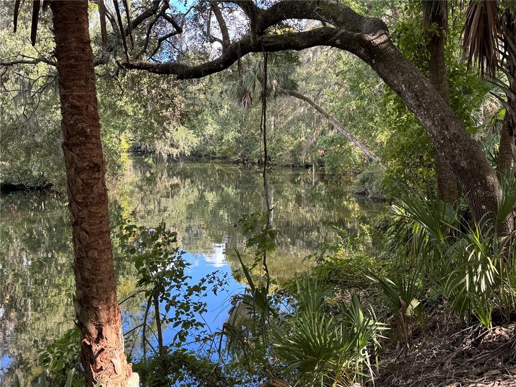 13789 West Foss Grove Path Inglis, FL 34449 - Photo 7 of 8 a view of a tree in a yard