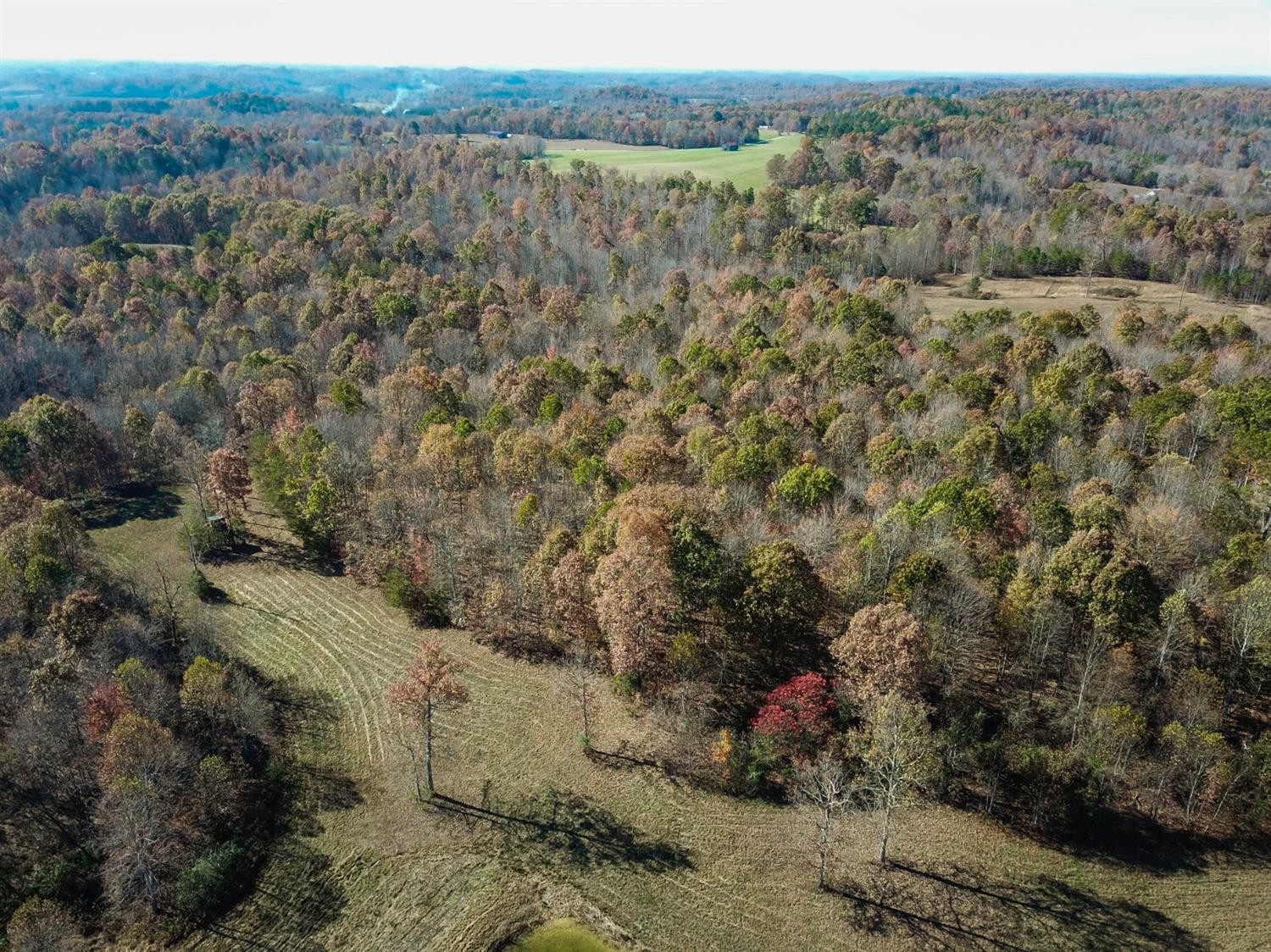 999 Red Davidson Road McKee, KY 40447 - Photo 14 of 45 Photo 14