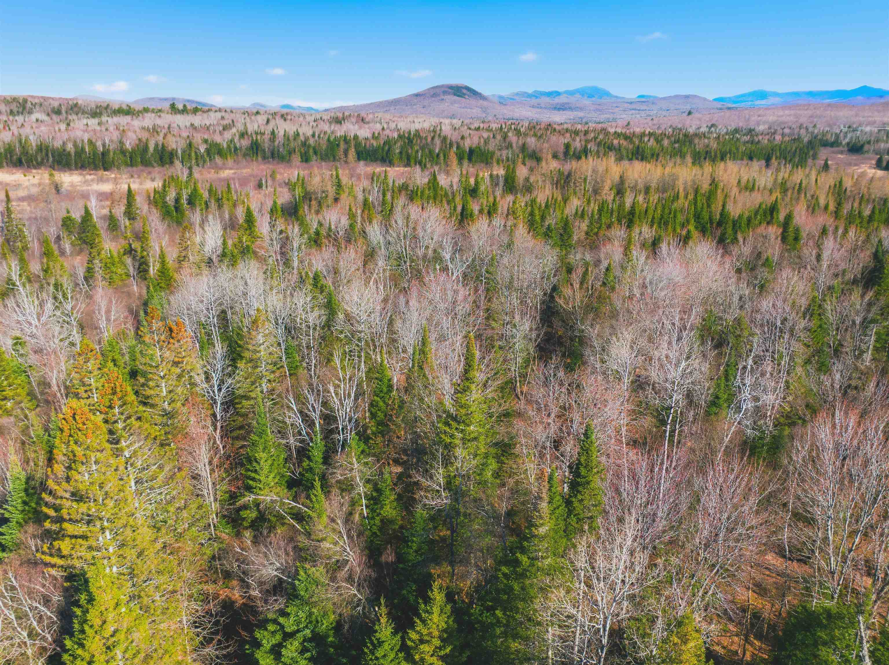 Thompson Road Northumberland, NH 03582 - Photo 15 of 42