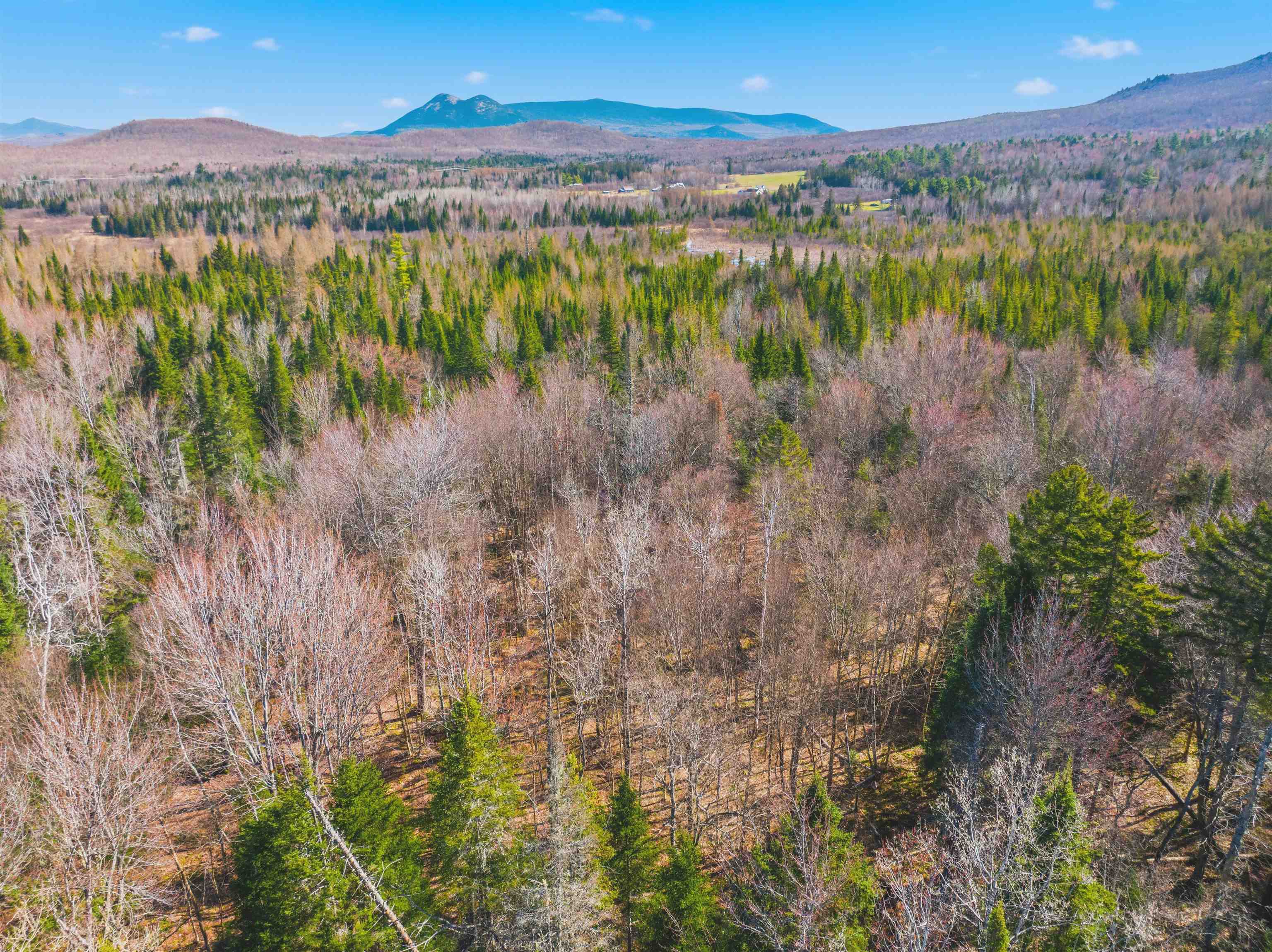 Thompson Road Northumberland, NH 03582 - Photo 16 of 42
