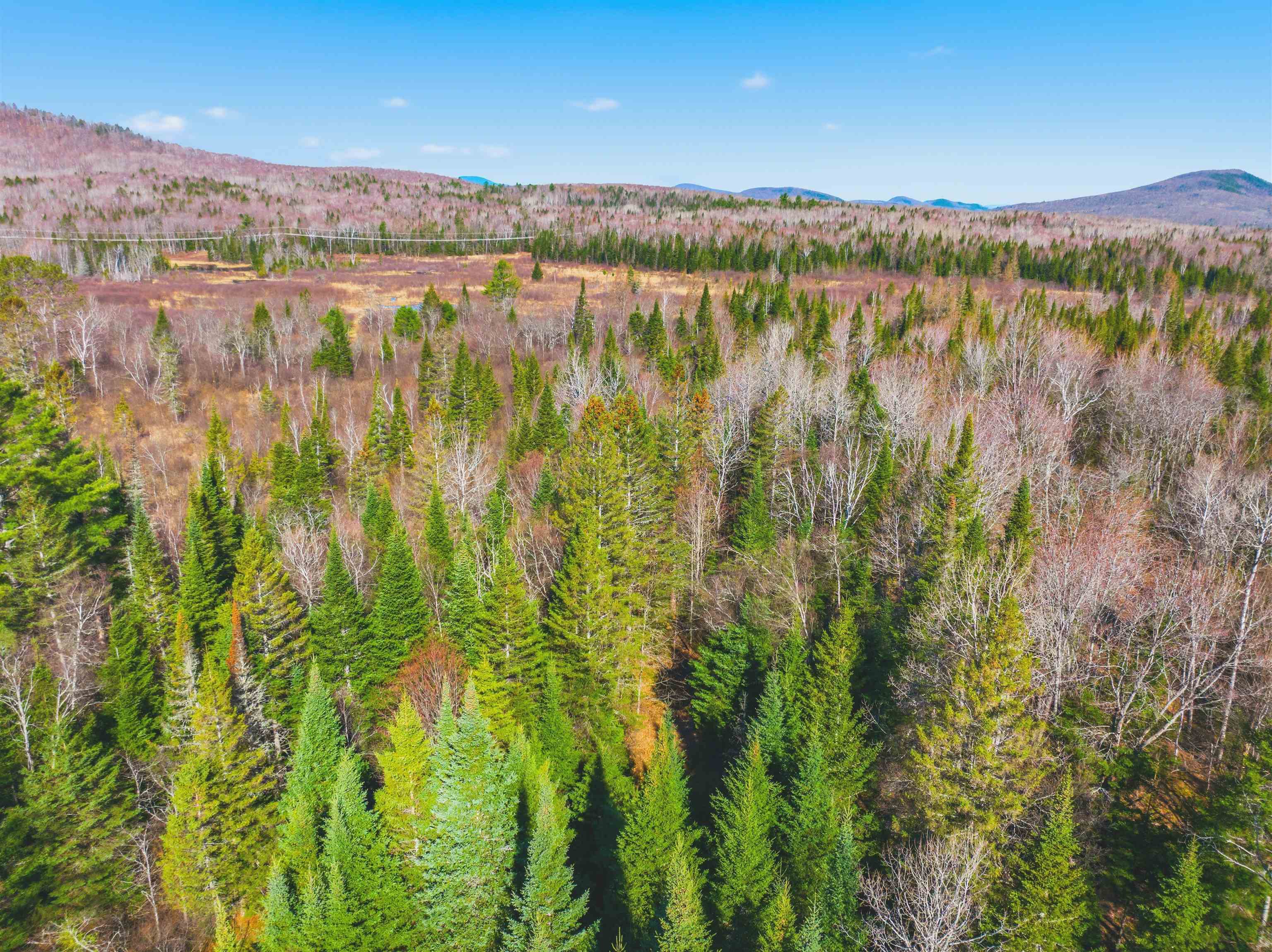 Thompson Road Northumberland, NH 03582 - Photo 39 of 42