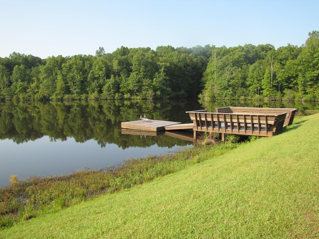 7715 Lynch Road Midland, GA 31820 - Photo 4 of 32