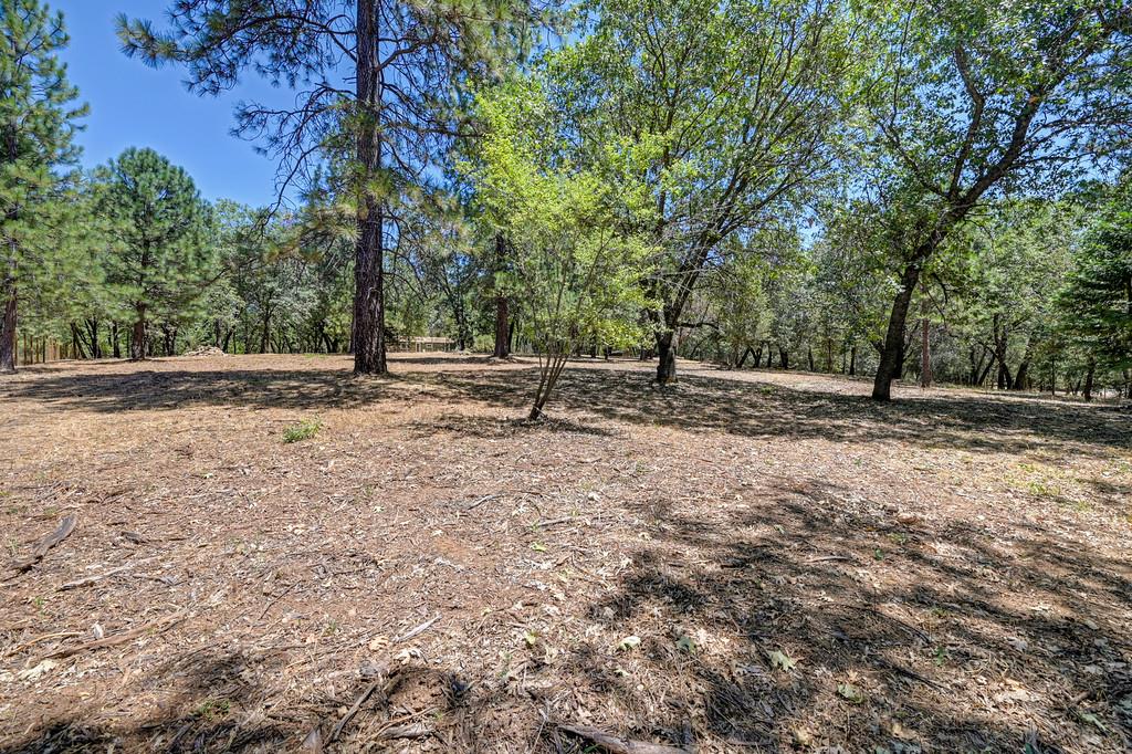 1862 Pleasant Valley Road Placerville, CA 95667 - Photo 62 of 74