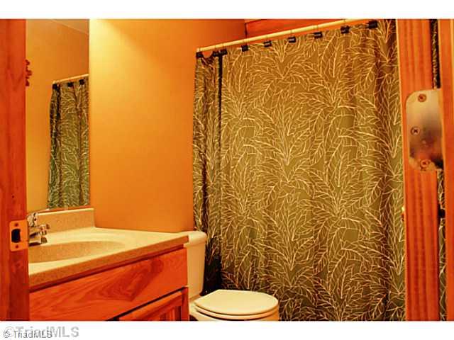 446 Nance Road Denton, NC 27239 - Photo 10 of 14 Bath. Hall bath