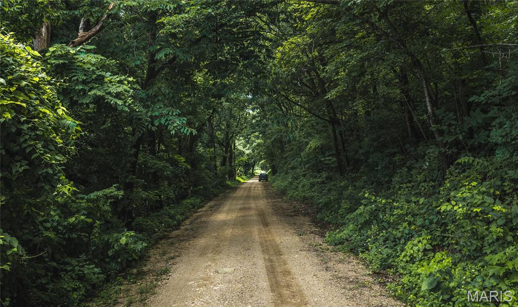 Lot 22-23 Camp Road Dixon, MO 65459 - Photo 13 of 21