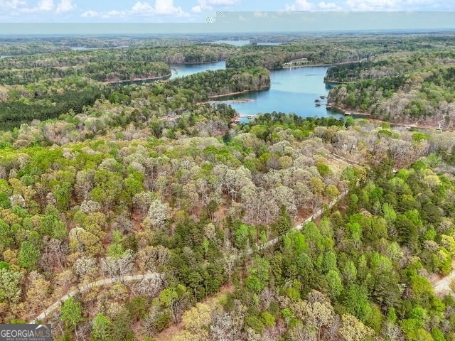 0 Calcutt Road, Unit TRACT 1 Lavonia, GA 30553 - Photo 11 of 13 an aerial view of residential houses with outdoor space and trees