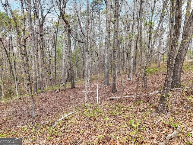 0 Calcutt Road, Unit TRACT 1 Lavonia, GA 30553 - Photo 12 of 13 a backyard of a house with lots of green space