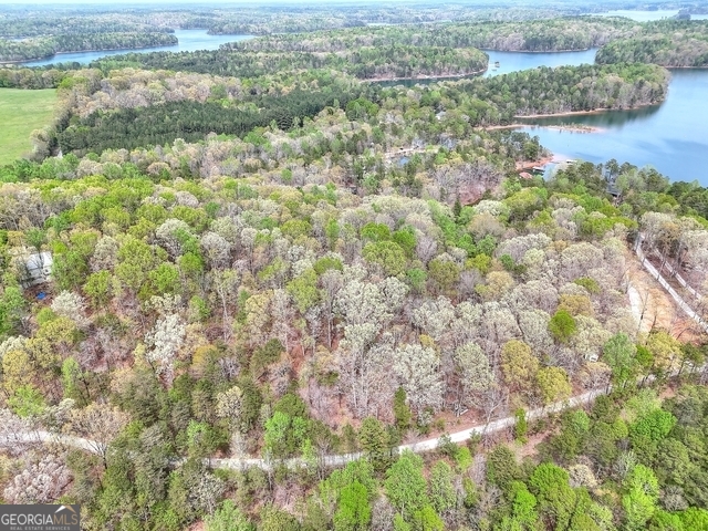 0 Calcutt Road, Unit TRACT 1 Lavonia, GA 30553 - Photo 2 of 13 a view of lake with green space