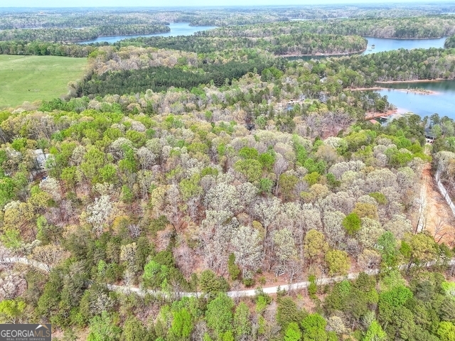0 Calcutt Road, Unit TRACT 1 Lavonia, GA 30553 - Photo 3 of 13 an aerial view of residential houses with outdoor space and trees