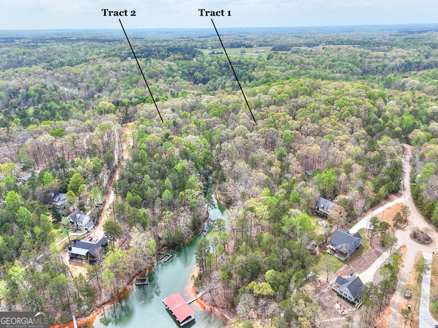 0 Calcutt Road, Unit TRACT 1 Lavonia, GA 30553 - Photo 5 of 13 a view of a garden