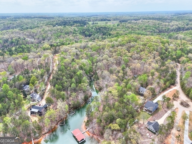 0 Calcutt Road, Unit TRACT 1 Lavonia, GA 30553 - Photo 6 of 13 a view of a green field