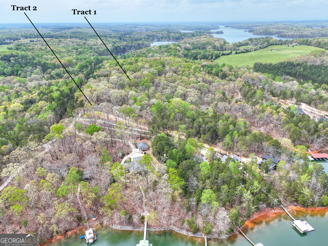 0 Calcutt Road, Unit TRACT 1 Lavonia, GA 30553 - Photo 7 of 13