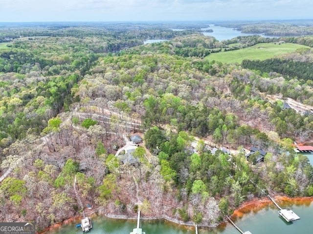 0 Calcutt Road, Unit TRACT 1 Lavonia, GA 30553 - Photo 8 of 13 a view of a garden with an outdoor space