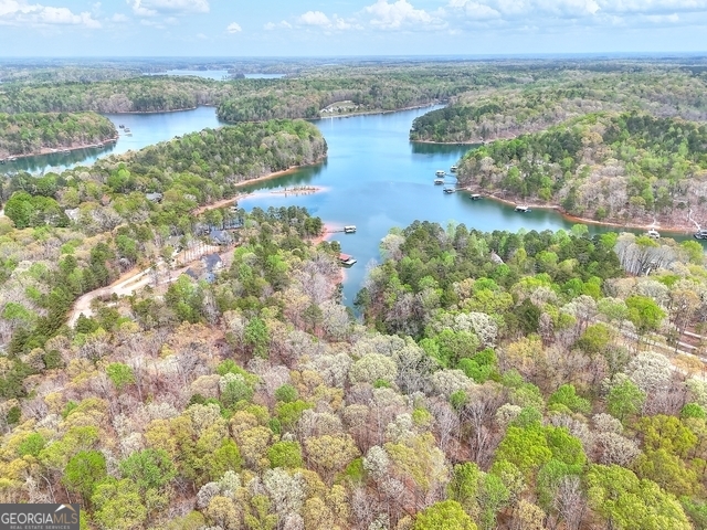 0 Calcutt Road, Unit TRACT 1 Lavonia, GA 30553 - Photo 9 of 13 a view of a lake with houses in the back