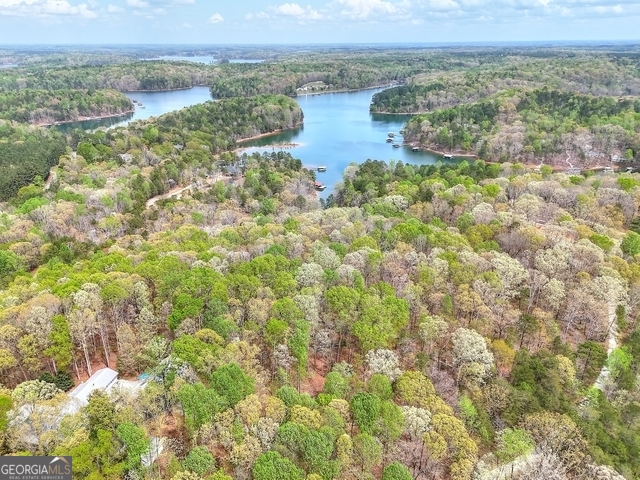 0 Calcutt Road, Unit TRACT 1 Lavonia, GA 30553 - Photo 10 of 13 a view of lake with mountain
