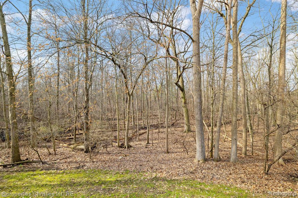 1413 Oakbrook Rochester Hills Rochester, MI 48307 - Photo 19 of 30
