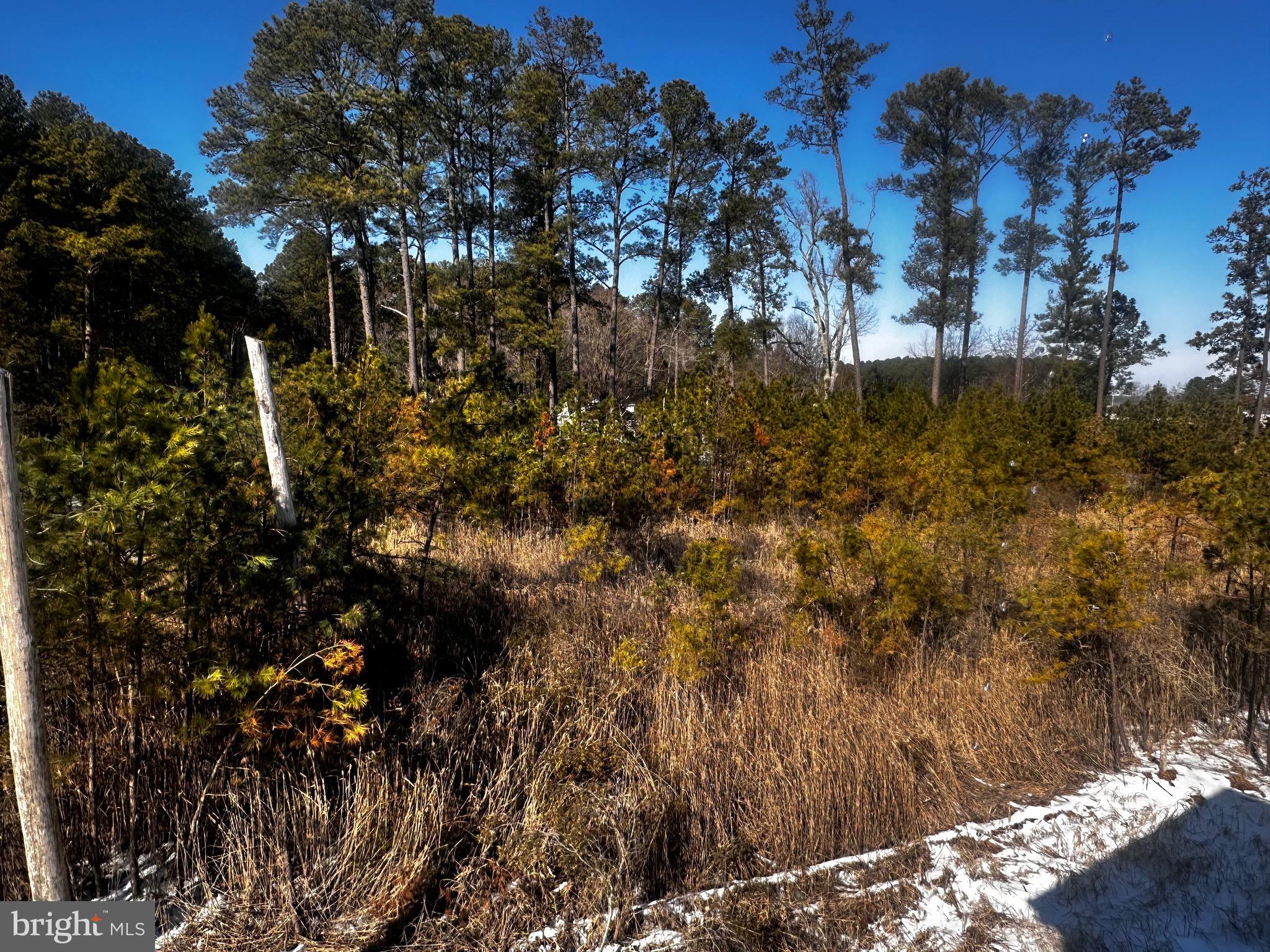 16252 Thomas Road Piney Point, MD 20674 - Photo 3 of 5