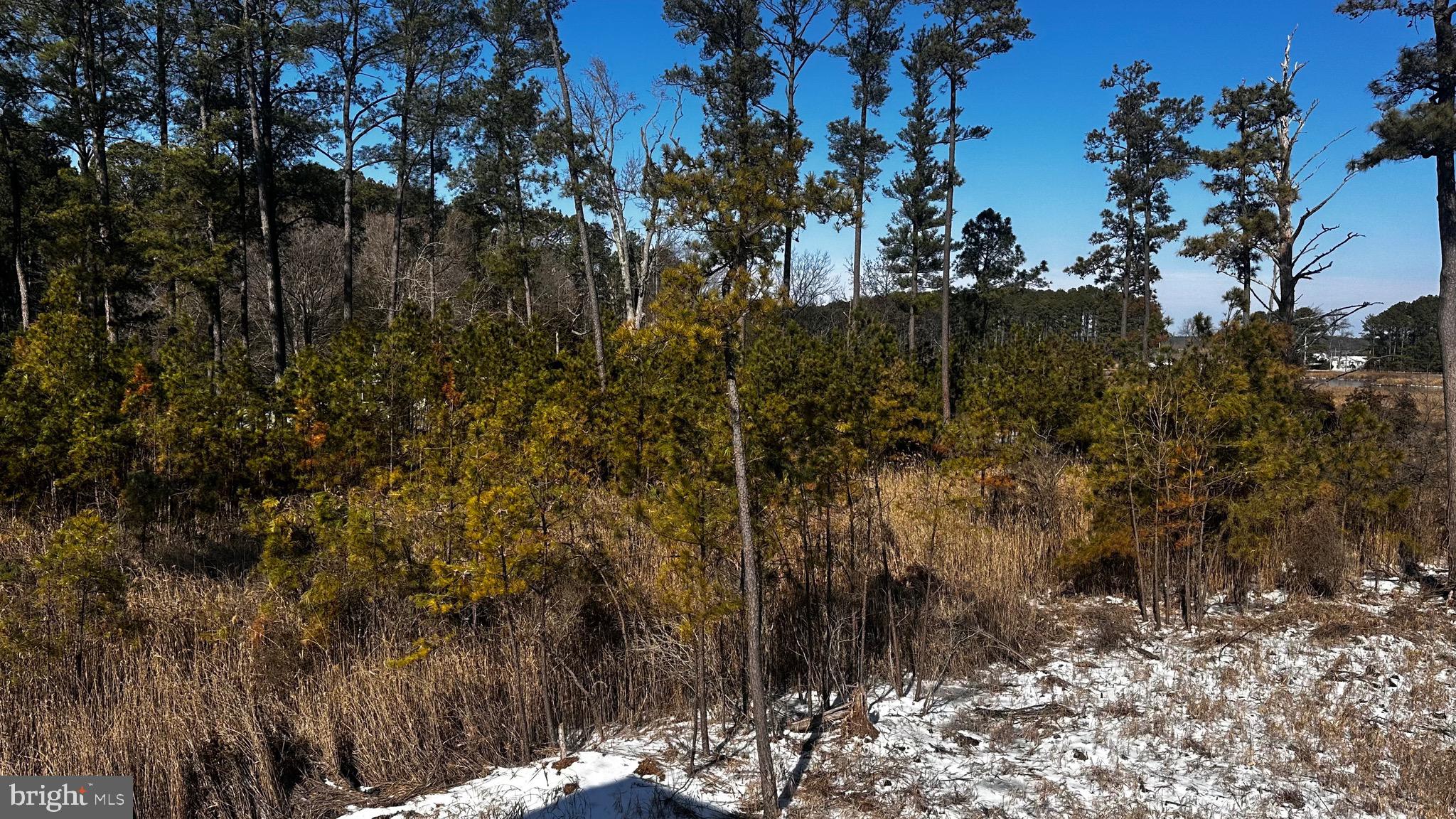 16252 Thomas Road Piney Point, MD 20674 - Photo 4 of 5