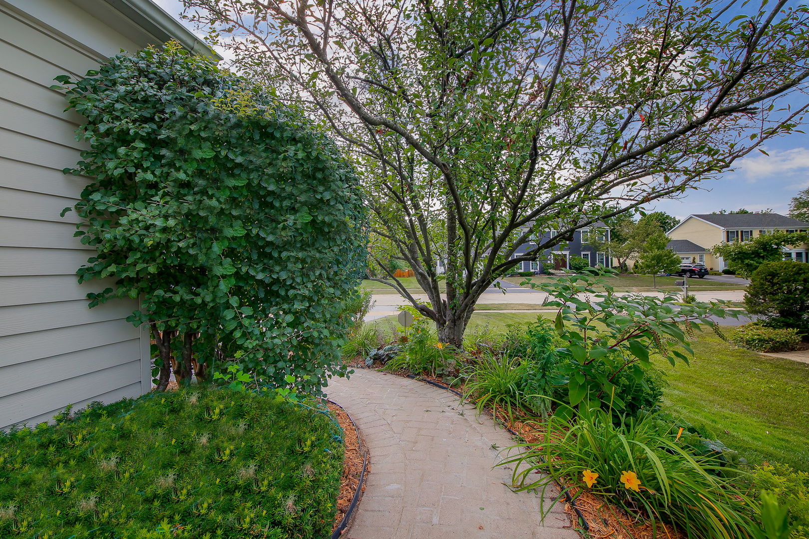 230 Hill Road Willowbrook, IL 60527 - Photo 33 of 39 a view of a garden with plants and large trees