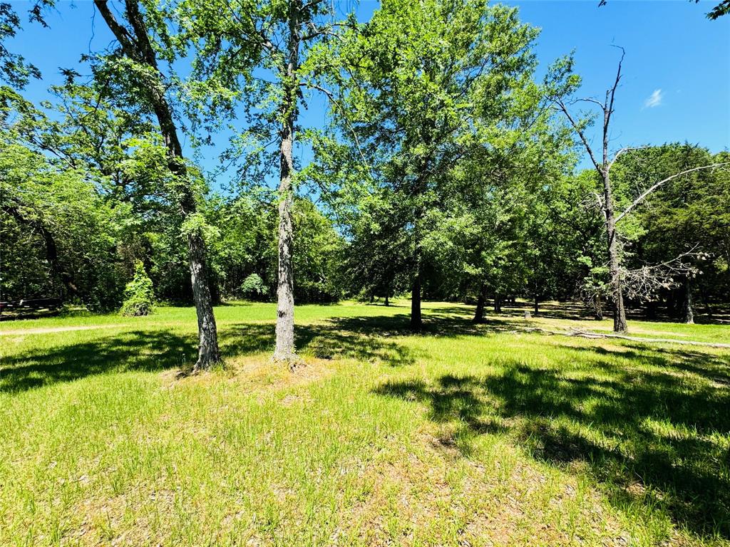 8636 Highway 31 Athens, TX 75751 - Photo 17 of 22 a view of a park with large trees