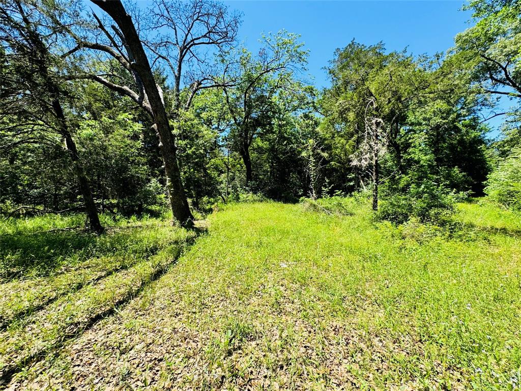 8636 Highway 31 Athens, TX 75751 - Photo 18 of 22 a view of an outdoor space and a yard